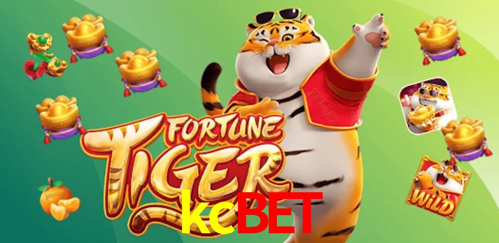 Experiência VIP kcbet